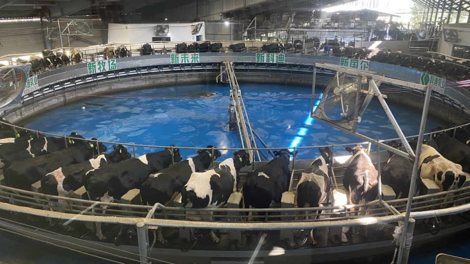 CA88����(�й���) - Ψһ�ٷ���վ